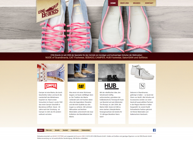 Webdesign von dngbrands.ch